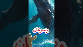 لماذا امر الله الحوت بابتلاع سيدنا يونس عليه السلاماسلاميات قصص خواطر الاسلامية اشتراك [upl. by Ethan557]