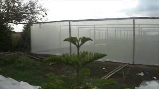 Instalación Malla AntiTrip para un cultivo de Tomates [upl. by Tihw156]