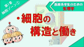 生理学 細胞ゾーン① 「細胞の構造と機能」 [upl. by Dielu]