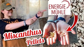 Miscanthus Pellets update 🤩  Einstreu für Liegebereich im Pferdestall 🐴 Energie Mühle  Offenstall [upl. by Aibat165]