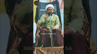 मरजा एकराम की सरपरस्ती कितनी ज़रूरी है  Maulana Iqrar Hussain Shb shorts  haqqezehrasa majlis [upl. by Sungam408]