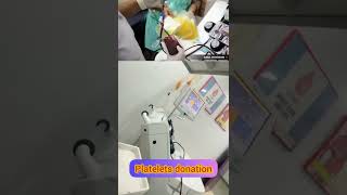 platelets donation process 🧑‍⚕️platelets donation  procedure of platelets donation nursing [upl. by Una]