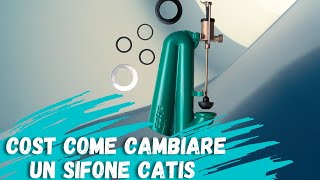 Come cambiare un sifone Catis faidate [upl. by Clance]