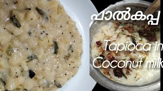 സൂപ്പർ ടേസ്റ്റിൽ പാൽകപ്പ Tasty palkappa in Malayalam paalkappa Tapioca in coconut milk [upl. by Erroll]