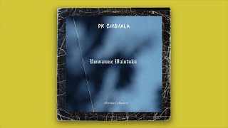 PK Chishala  Mwaume Walutuku Official Audio [upl. by Eenattirb]