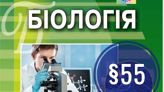 §55 Ендокринні залози організму людини Профілактика захворювань ендокринної системи [upl. by Aenahs]