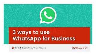 3 Ways to Use WhatsApp for Business Save Contacts Broadcast Lists amp Status [upl. by Laws]