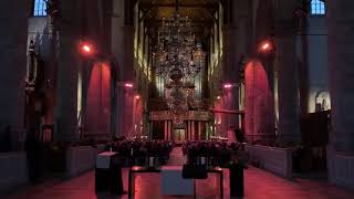 Pieter Heykoop  Nieuwjaarsconcert Laurenskerk Rotterdam 5 januari 2019 [upl. by Teena]