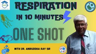 RESPIRATION IN 10 MINUTES  ONE SHOT  rvf biology [upl. by Enybor564]