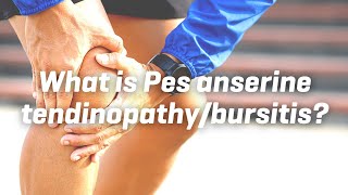 What is Pes anserine tendinopathybursitis [upl. by Rosalie]