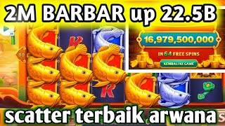 2m barbar golden arowana up 225b [upl. by Enotna]