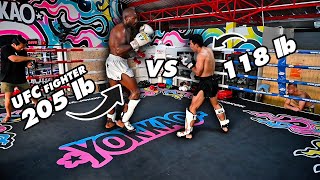 Muay Thai Sparring  BIG Vs Small UFC’s Khalil Rountree Jr Vs Tay Matee [upl. by Barraza]