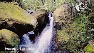 Turismo en Pangoya Huarango [upl. by Nandor]