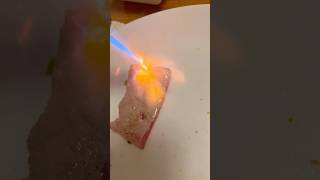 Seared tuna fish sushi tuna yummy homemadefood freshfish [upl. by Yaffit]