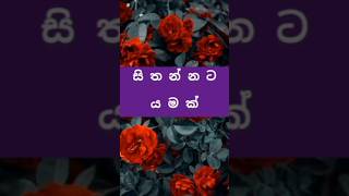 adaraya mohothak sithanna love music hindisong ❤️🥀💖🌹 [upl. by Martens]