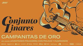 Conjunto Linares  Campanitas De Oro Audio Oficial [upl. by Oileduab]