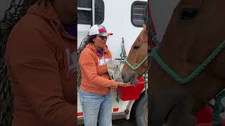 Freckles won a bag of treats  of course they got them right away camilleshorsemanship [upl. by Sinai]