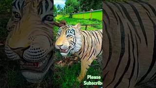 সুন্দরবনে এ কি বাঘ। 🐅funny youtube viral [upl. by Zertnom]