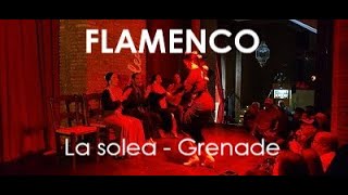 Flamenco  Grenade  La Solea [upl. by Ambrosi]