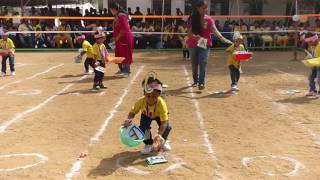 5th Sports day  nursery sports  Hindupur Eurokids [upl. by Ahtoelc]