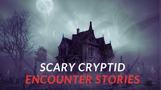 scary cryptid encounter stories [upl. by Venn]