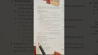 Branches of Maxillary Nerve anatomy cranialnerve bdchaurasia medicalstudents [upl. by Jovi]