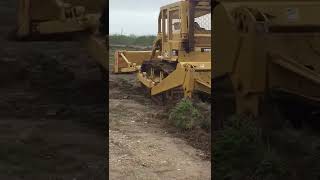 Caterpillar D7g root plowing [upl. by Almita]