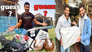 Surprise Samad Pet Vlog Wala Gift Reveal Kar Diya😍❤️ Kya Hoga [upl. by Faulkner]