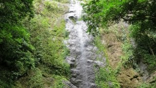 Fairy Waterfall of Danum Valley [upl. by Aeslahc]