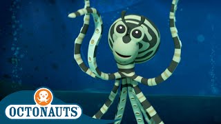 Octonauts  🐙 Mimic Octopus at Your Service 🐙  Season 2  Best Bits [upl. by Amle]