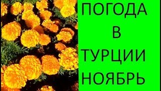 Погода в Турции в ноябре Сезон идёт к концу солнышко припекает [upl. by Doretta]