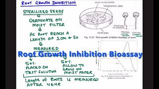 ROOT GROWTH INHIBITION BIOASSAY FOR AUXIN [upl. by Dlareme]