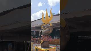 Sri Peddamma Thalli Temple dasara temple devotional peddammatemple festival viralshort yt [upl. by Goldy474]