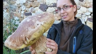 Boletus Edulis XXL gigante MUST WATCHHD😱 [upl. by Llehcsreh]