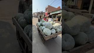 ⚡⚡ Pumpkin Sweet Making Process⚡⚡ shorts telugufoodie esangathulu streetfood foodie omelette [upl. by Sheri467]