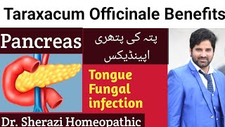 taraxacum officinale homeopathic medicine pancreas ko healthy kaise kare  Dr Sherazi Homeopathic [upl. by Inaffit]