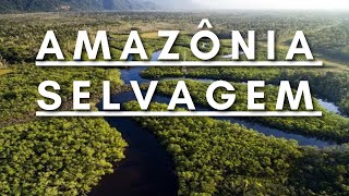 Amazônia Selvagem  Berço da vida  Documentário dublado HD [upl. by Artenek]