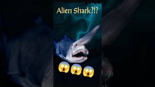 Goblin Shark The Deep Seas Alien Hunter [upl. by Vincenty]