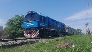 CRRC CDD3A1 9474 a cargo del R85 pasando por José C Paz destino Dr Cabred 22102024 [upl. by Felicidad]