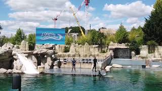 Spectacle dotaries au Zoo de Beauval France 🇫🇷 [upl. by Conlin]