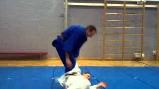 25 Traditional Japanese JiuJitsu Throws [upl. by Benedicto182]