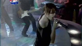 Garbage  Androgyny live pepsi [upl. by Aitetel645]