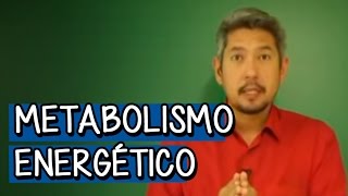 METABOLISMO ENERGÉTICO  BIOLOGIA  DESCOMPLICA [upl. by Talbert]