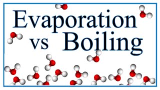 Boiling vs Evaporation Definition Examples amp Explanation [upl. by Ivor428]