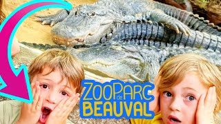 Zoo Parc de Beauval zoobeauval avec French Kids frenchkidsofficiel zoobeauval zoo zooanimal [upl. by Carolyne]