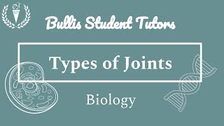 Types of Joints  Human Joints  Human Body Structure  Biology  Anatomy [upl. by Aurora]