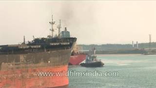 Paradeep Port  Important commercial sea port of India [upl. by Cerracchio]