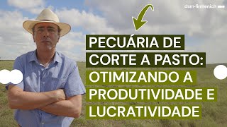 Qual a melhor gestão da pecuária de corte a pasto  Porteira Adentro 🐂 [upl. by Eylatan]