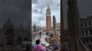 😍 Piazza san marco venezia 🇮🇹 shorts youtubeshorts summer2023 visititaly visitvenice venice [upl. by Weiss535]