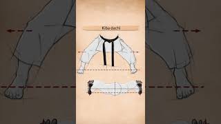 SHOTOKAN KARATE STANCES [upl. by Kara]